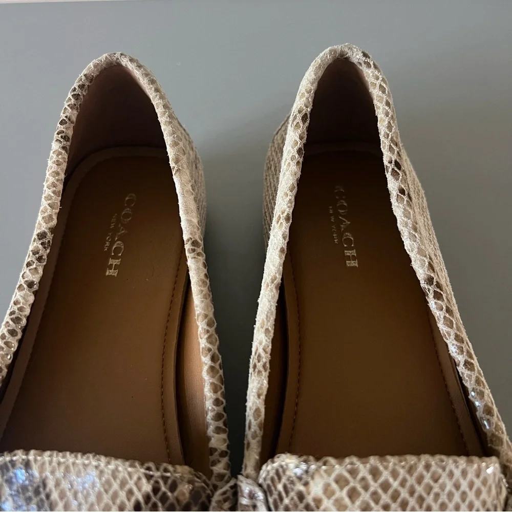 Coach Olive Snakeskin‎ Print Loafers